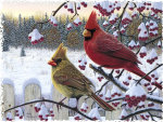 Cardinals in the Snow F2