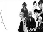 Bleach goodddd man