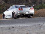 Skyline R34