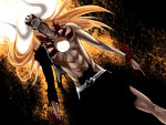 Vasto Lorde Ichigo