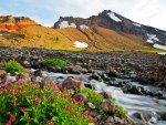 Beautiful Waterfall with beautiful flowers