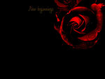 Dark Red Roses