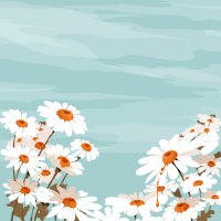 White Flowes And Sky