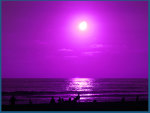 Purple Beach