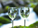 2 Wine Glass Nature 