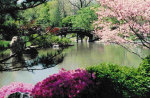 Spring Japanese Garden
