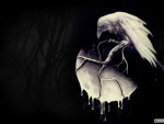 Dark Night White Raven