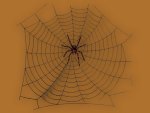 Creepy Spider