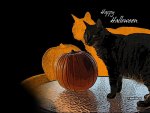 Happy Halloween Cat