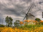 Windmill-HDR