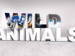 Wild Animals