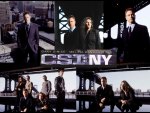 Csi New York