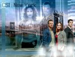 Csi New York