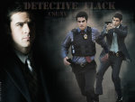 Csi New York/Don Flack