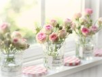 Roses on the window sill