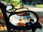 Park Bench
