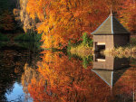 Autumn reflection