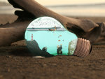 The world in a light bulb