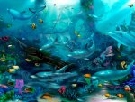 DOLPHIN TREASURES