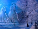 Spirit Horses