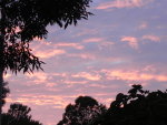 Pink Clouds