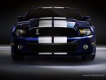 shelby gt500