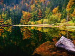 Lake in autumn