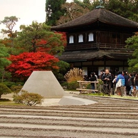 Kyoto Calls to You WDS