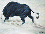 Spanish Bull