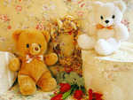 teddy chat