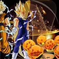 Goku, Vegeta and the Dragonballs