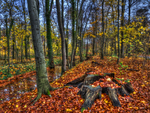 Autumn-HDR