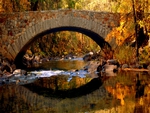 BRIDGE in AUTUMN