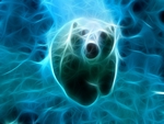 Fractal Polar Bear