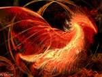 The Pheonix