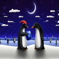 Penguins in the night