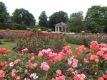 rose garden