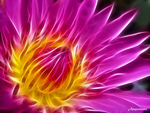 Amazing Fractalius Dahlia