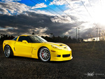 YELLOW VETTE