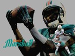 Brandon Marshall