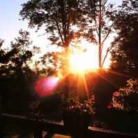 CATSKILL N.Y. JULY 2011