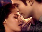 the twilight saga breaking dawn