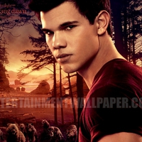 the twilight saga breaking dawn part 1