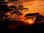 Sunset in Tanzania