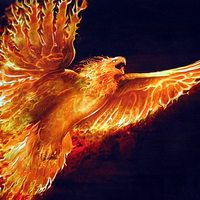 Phoenix