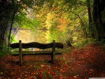 Empty Bench In Fall Scene