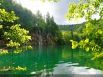 BEAUTIFUL GREEN POND
