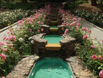 rose garden
