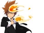 Sawada Tsunayoshi Vongola Decimo Generazione Capo, Vongola Custode di li Cielo