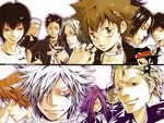 Vongola & the Millefiore